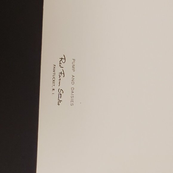 Greeting Cards (10) Red Farm Studio Pump & Daisies - Picture 5 of 5